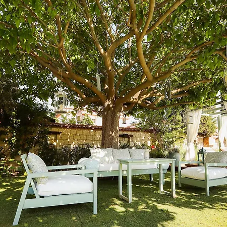 Cadde 75 Luxury - 酒店 阿拉恰特